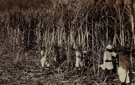 Finding and Reclaiming Our Ancestral Gold