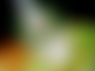 The never-ending dilemma... cork, synthetic stopper or screw cap?