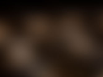 Oak, the secret ingredient in every wine.