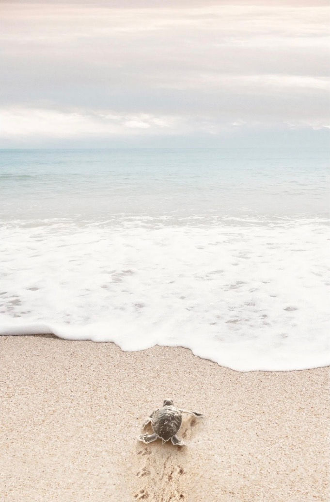 What If Rest Isn’t Doing Nothing?