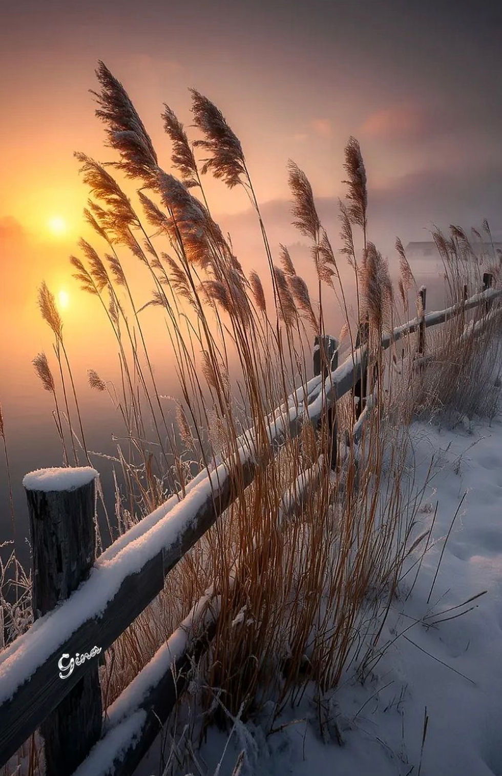 Wintering: Rooting, Resting & Reclaiming Ourselves