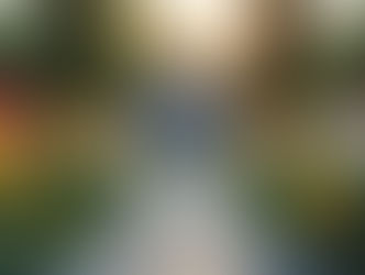 🌹 Péče o hrob jako projev vzpomínky – psychologický rozměr