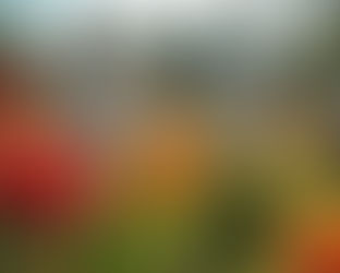 Frenštát pod Radhoštěm: Hřbitov jako prostor vzpomínek a úcty