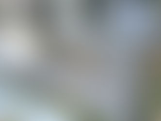 Nový Jičín: Péče o hrob po letech: Příběh paní G., jejíž láska překonala čas i vzdálenost