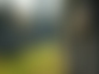 Historie a zajímavosti: Hřbitovy Ostrava