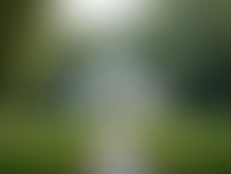 Historie hřbitova v Holešově