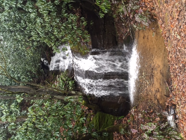 Falls Creek Cabin Bryson City Nc