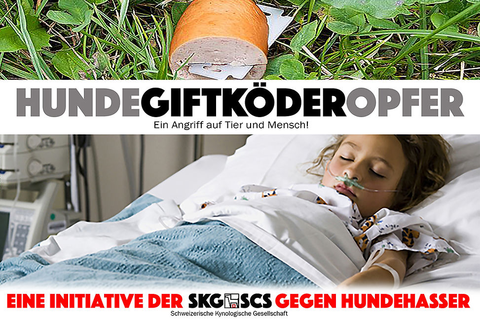 Giftköder Kampagne Konzept Gestaltung Leo Gesess comcom.ooo Schweiz.jpg