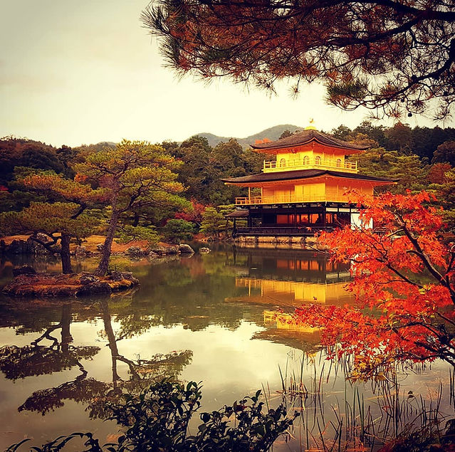 kinkakuji - autumn.jpg