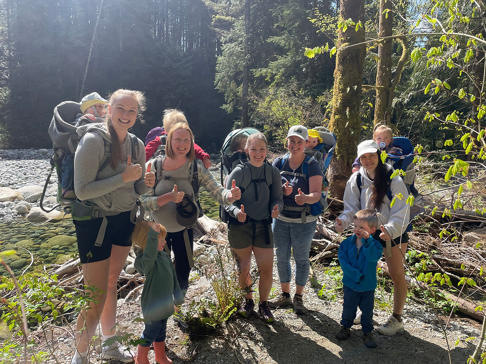 Mackee Peak Meadow Hike