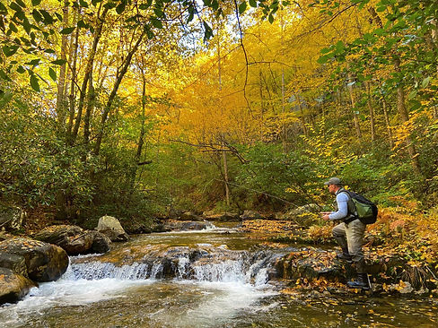 falltrout.jpg