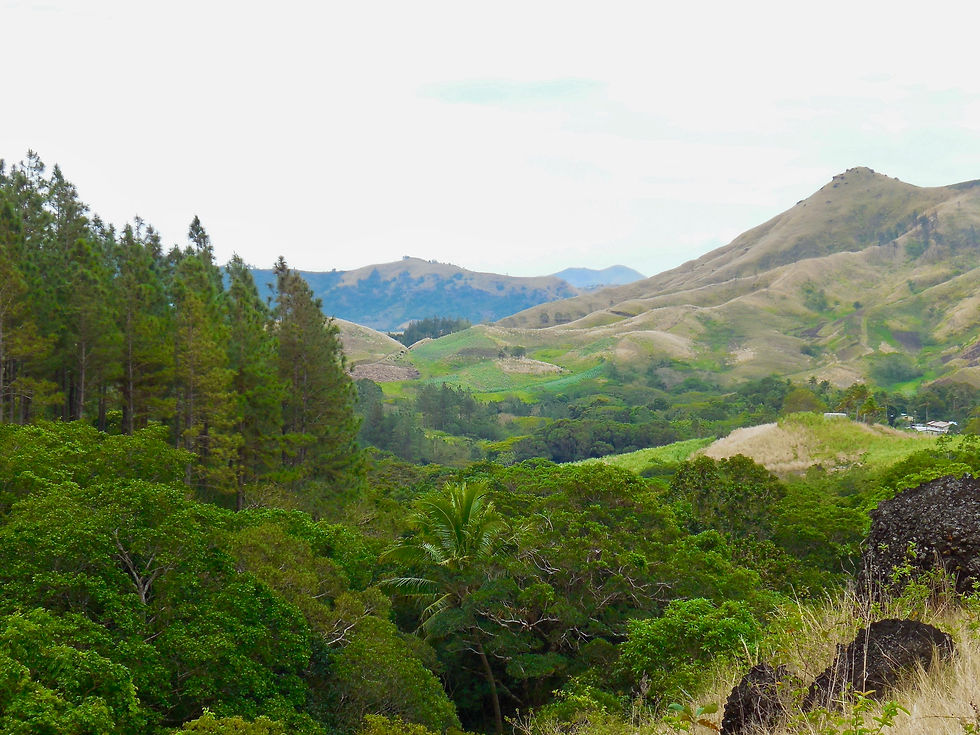 The Other Side of Fiji