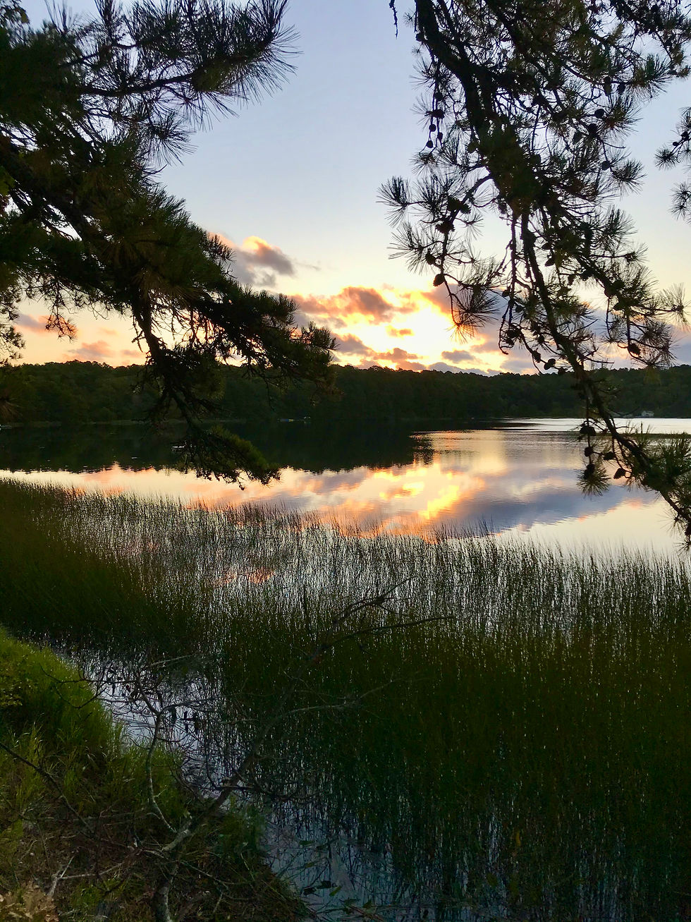Great Pond I