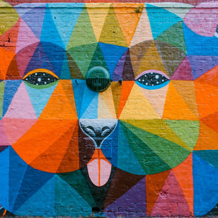 Let’s Learn Colors And other intriguing bits about the way people think, see, do and feel
