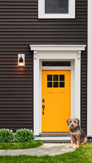 Augie at the yellow door.jpg