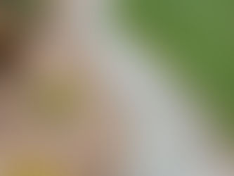 Custom Concrete Curbing: The Finishing Touch Your Landscape Needs