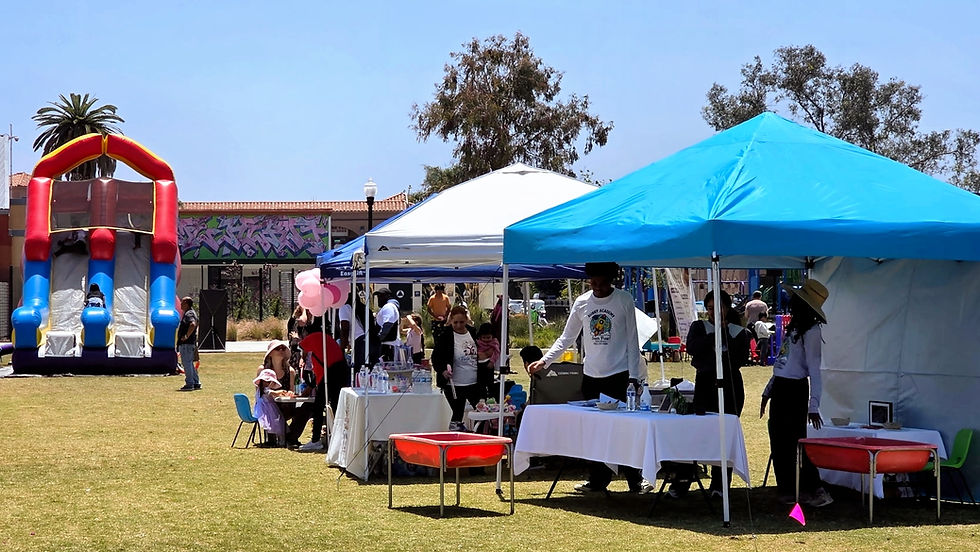 Care Village Fair