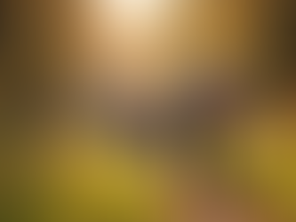 Understanding Waldorf Education: A Comprehensive Guide