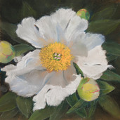 Robert Wortmann