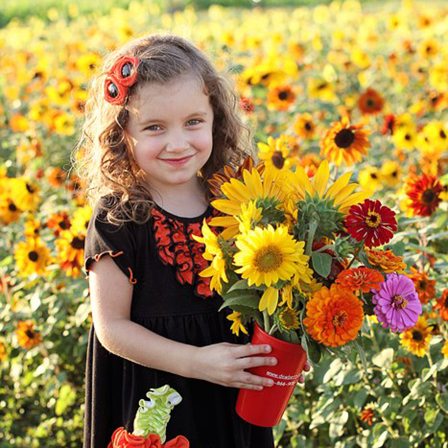 Writer: Dewberry Farm