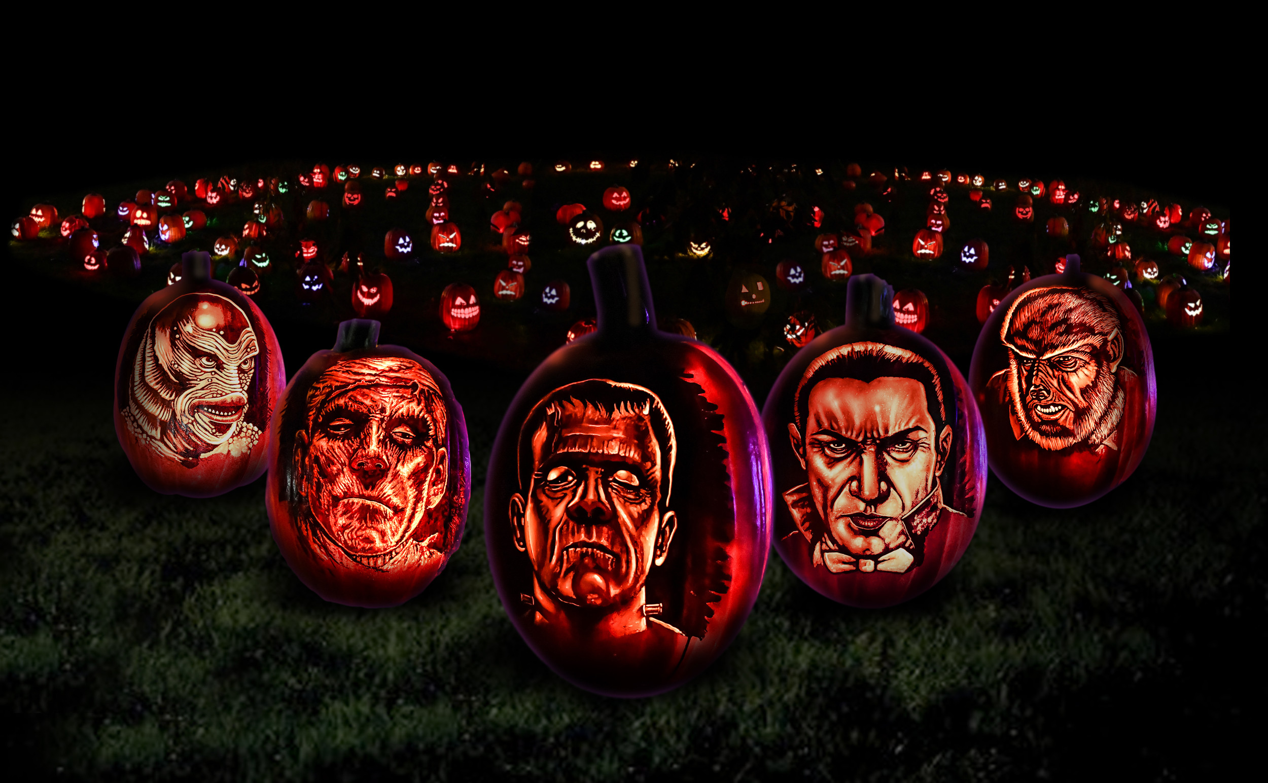 Fall Festival | Frights'n Lights | Frisco