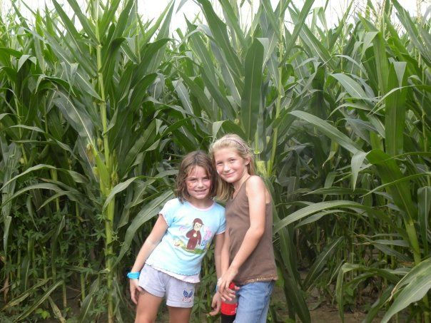Corn Maze