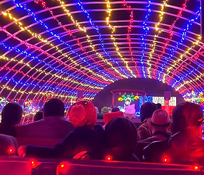 lights small.jpg
