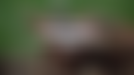 Summer Landscaping Tips