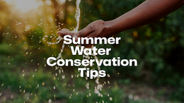 Summer Water Conservation Tips