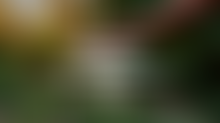 Summer Water Conservation Tips