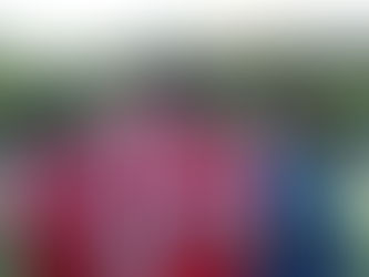 🏆 Fin de la Copa Primavera para el Atlético Presillas