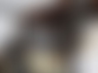 🏆 Gala de Premios 2025: una noche para reír, juntarnos y celebrar el Presillas