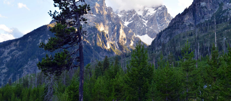 The Government Shutdown Proved It: We Must Double America’s Wild Places