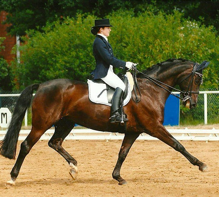 WhatsApp Image 2020-05-17 at 19.49.17 (1