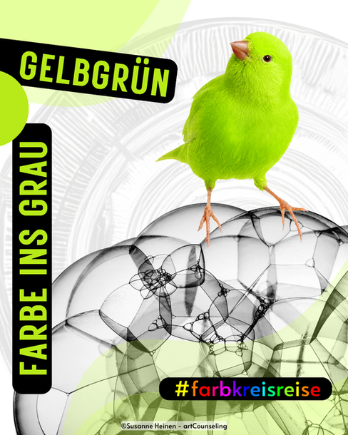 Titelbild zur Farbkreisreise „Gelbgrün“, grüner Kanarienvogel auf transparenten Schaumblasen.