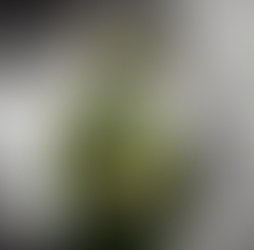 Nähe: Momente, die tragen und verbinden