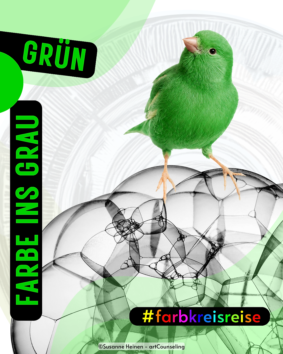 Grüner Kanarienvogel sitzt auf transparenten Schaumblasen vor hellem Hintergrund – Titelbild zur Farbkreisreise 2026, Farbe Grün im Juli