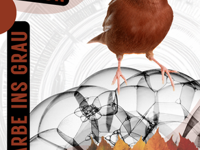 Titelbild der Farbkreisreise im Oktober 2026. Ein brauner Kanarienvogel steht auf grau-schwarzen Seifenblasen vor einem hellen Hintergrund mit rosébraunen Farbflächen. Links stehen in schwarzen Balken die Schriftzüge „Braun“ und „Farbe ins Grau“. Unten rechts liegen Herbstblätter in Grün, Gelb, Orange und Rot, darauf die Schrift „Special Edition Herbst“ und der Hashtag #farbkreisreise in Regenbogenfarben.