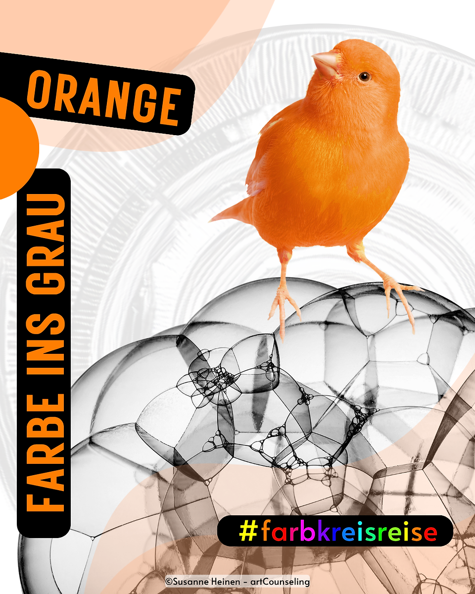 Titelbild zur Farbkreisreise „Orange“, oranger Kanarienvogel auf transparenten Schaumblasen.