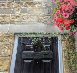 Leaves and Door