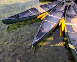 Dock
