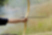bow arrow.jpg