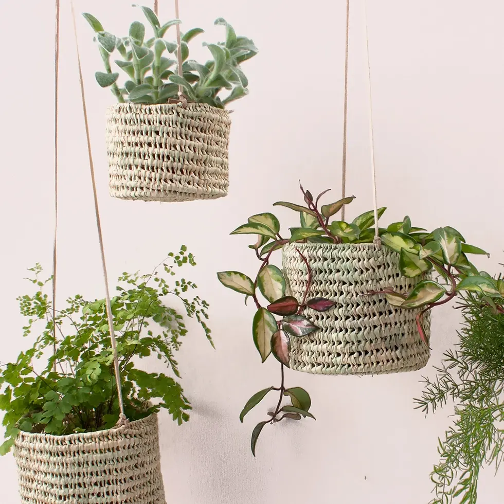 Open Weave Hanging Baskets