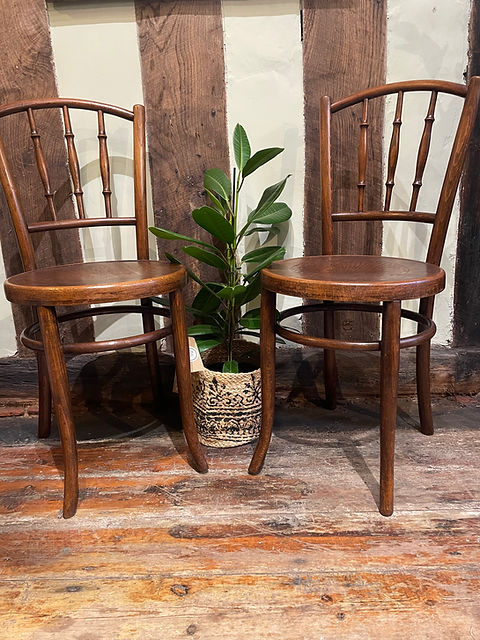 ダイニングチェア FISCHEL Bentwood chair Pair of Fischel Bentwood Chairs | The Green House