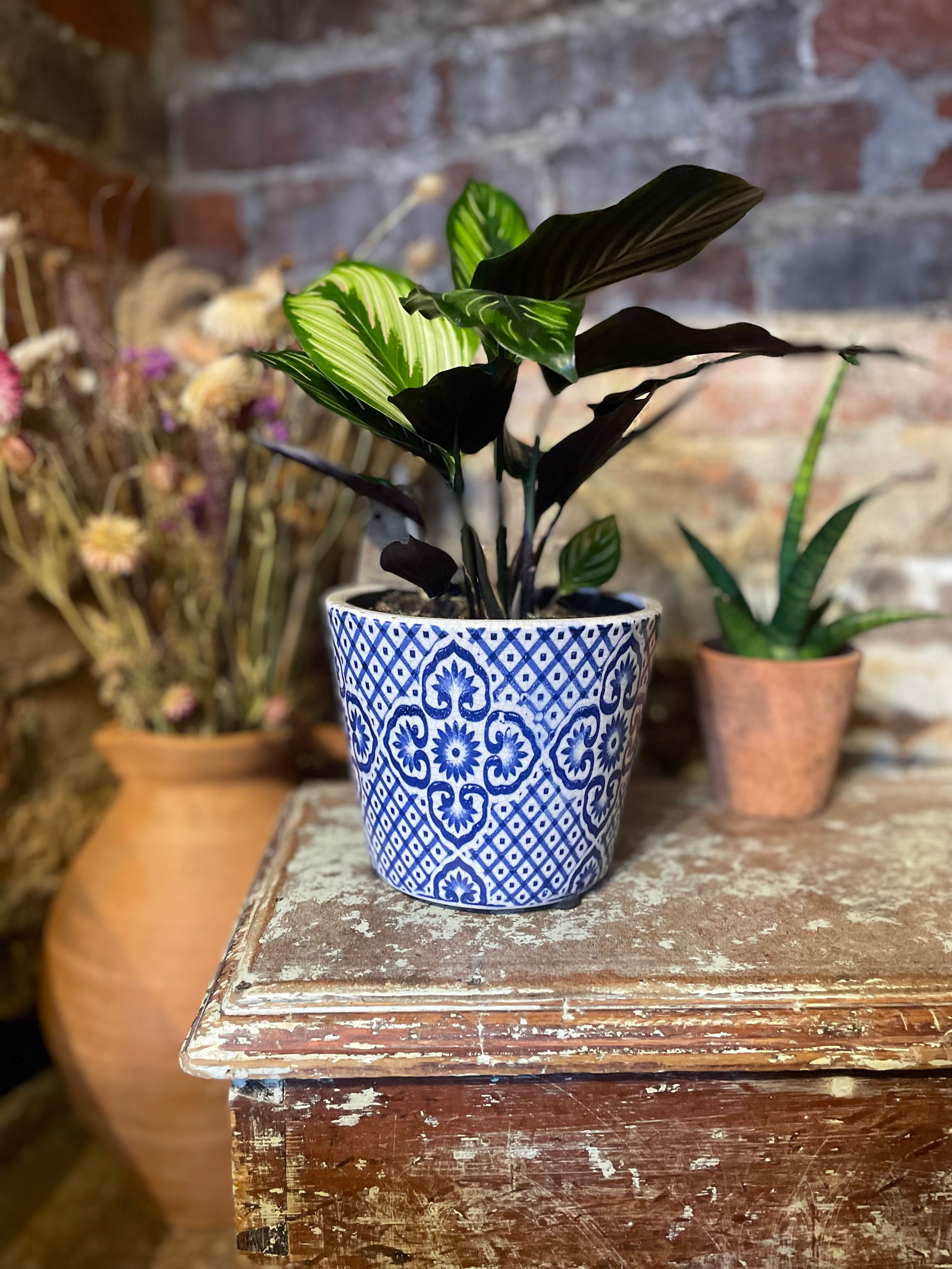 Old Style Dutch Pots