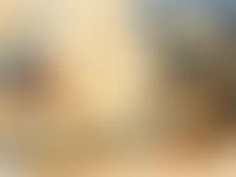 Guía para traducir documentación societaria