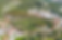 123331056-888