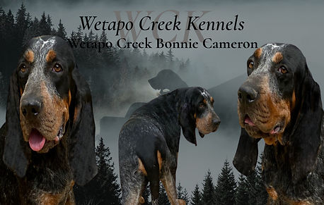 pexels-photo-3312677 (6) (14).jpg