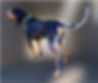 205383395_1867434920093166_3456797641715781525_n-removebg-preview (1)