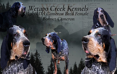 pexels-photo-3312677 (6) (2).jpg